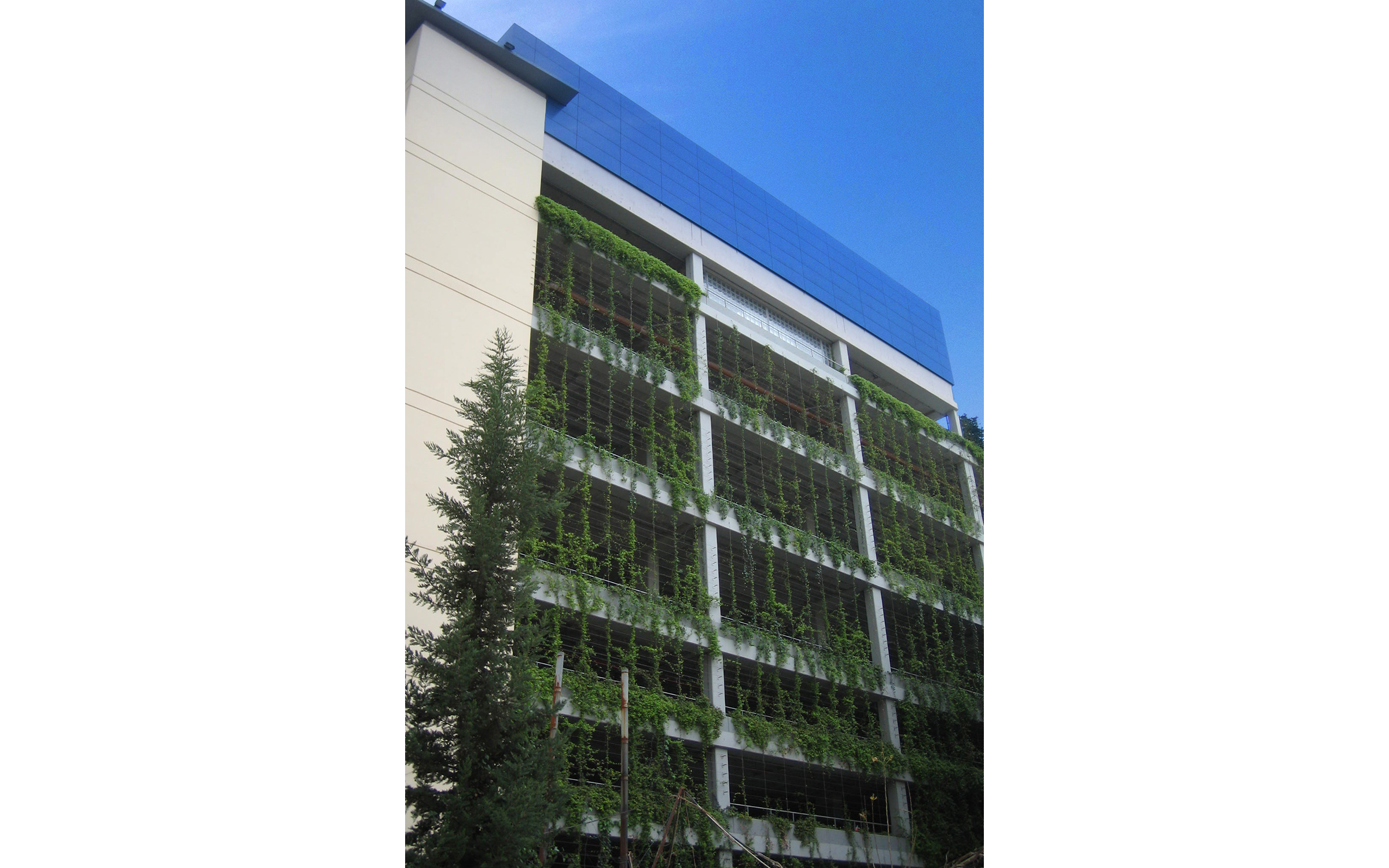  Project Image 9